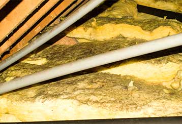 Attic Insulation Removal | Attic Cleaning Anaheim, CA