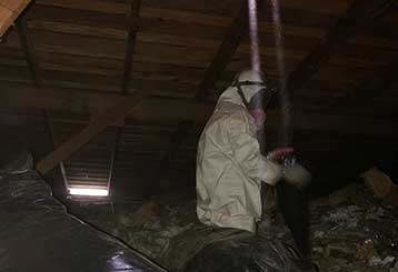 Attic Cleaning in Orange | Attic Cleaning Anaheim