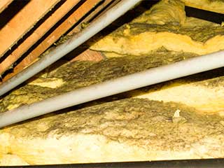 Insulation Removal | Attic Cleaning Anaheim, CA Insulation Removal | Attic Cleaning Anaheim, CA