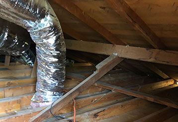 Crawl Space Cleaning | Attic Cleaning Anaheim, CA